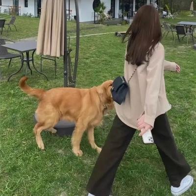 动物频道